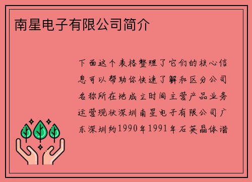 南星电子有限公司简介